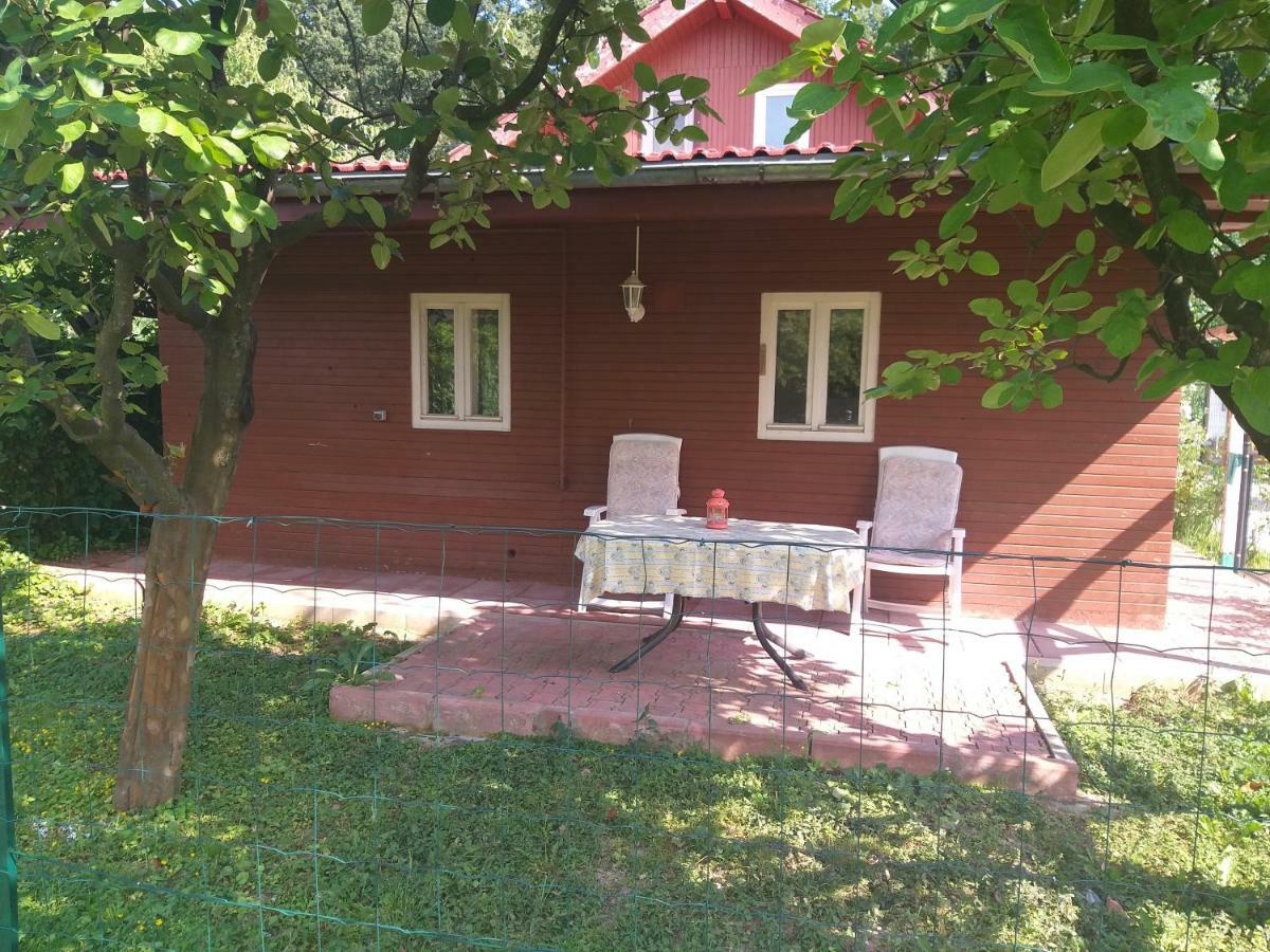 Rustic Country House In Snagov Διαμέρισμα Εξωτερικό φωτογραφία